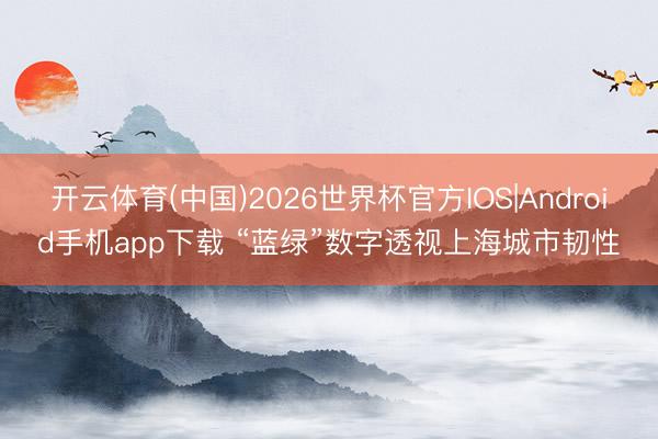 开云体育(中国)2026世界杯官方IOS|Android手机app下载 “蓝绿”数字透视上海城市韧性
